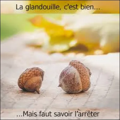 Et si ce ragot le laisse à son petit frère en livrée, on dira qu'il se promène sans but, que fait-il ?