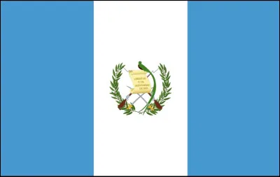 Très peu visibles, deux fusils à baïonnette sont pourtant présents au milieu du drapeau. Quel est ce pays ?