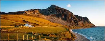 Quel animal se trouve sur le drapeau du Pays de Galles ?