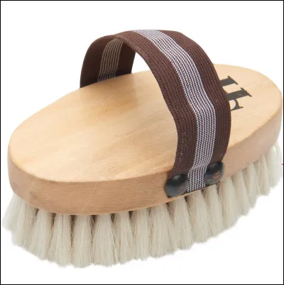 Comment cette brosse s�appelle-t-elle ?