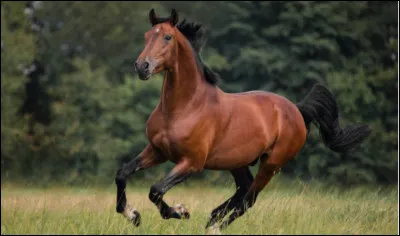 Et quel est le nom de celle-ci ?