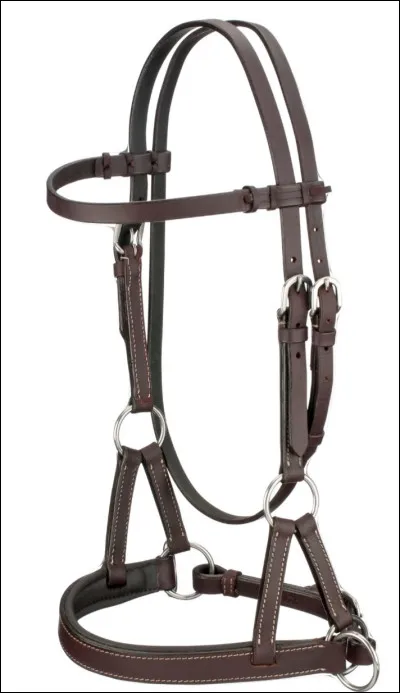 Quel est le nom de ce filet ?