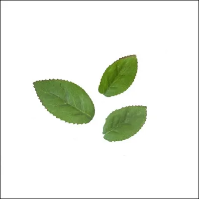 Comment fais-tu pour avoir des rem&egrave;des ?