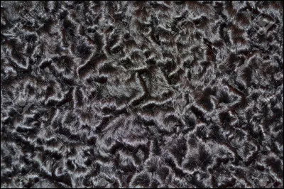 Quel est le nom de cette fourrure d'agneau caracul mort-né ou tué très jeune, à poil bouclé ?