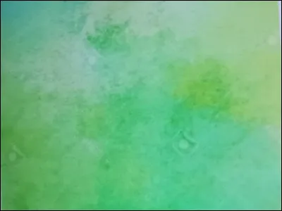 Quelle est ta couleur préférée ?