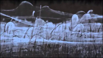 Pour Luitz-Morat, en 1929, qui est folle ?