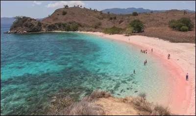 Cette plage peu commune de couleur rose se situe sur l'île de Padar, dans le parc national Komodo, en...
