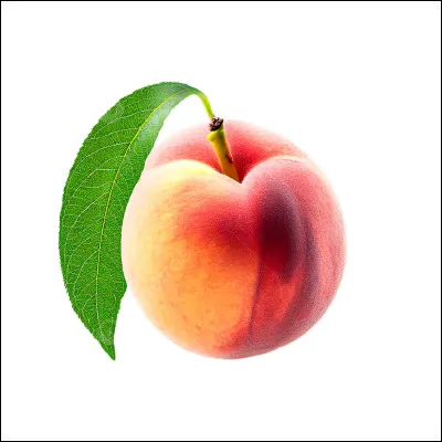 Comment appelle-t-on l'arbre qui produit des pêches ?