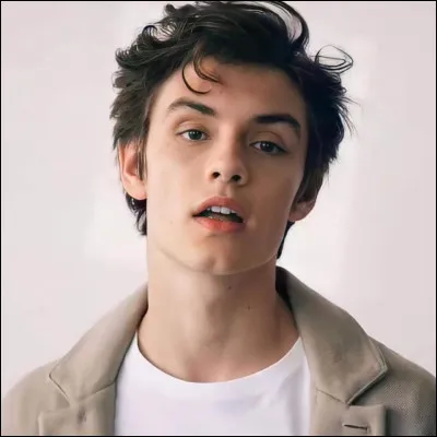 Quel personnage joue l'acteur Louis Partridge ?