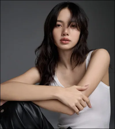 Que cherches-tu dans les paroles des chansons ?