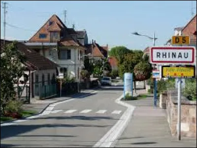 Nous sommes pr&eacute;sent &agrave; l'entr&eacute;e de Rhinau. Ville de l'arrondissement de S&eacute;lestat-Erstein, sur les bords du Rhin et du grand canal d'Alsace, elle se situe dans le d&eacute;partement ...