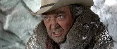 James Stewart joue le rôle du convoyeur Sam Burnett dans un film réalisé par Andrew V. McLaglen et sorti en 1966. Quel est le nom de ce western ?