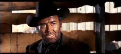 Dans « Les Cinq Hors-la-loi », un western réalisé par Vincent McEveety et sorti en 1968, quel est le célèbre acteur aux côtés de James Stewart (voir photo) ?