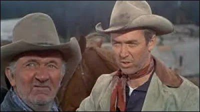 Dans « Je suis un aventurier », un western réalisé par Anthony Mann sorti en 1954, avec quel acteur célèbre pour ses seconds rôles Stewart partage-t-il laffiche ?