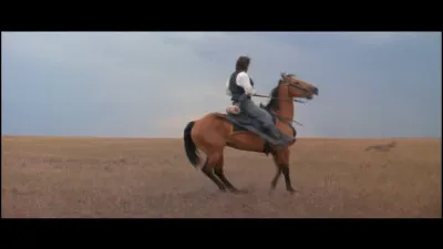 "Danse avec les loups" est un film interprété par Kevin Costner.