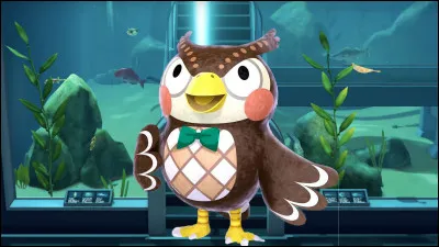 Comment s'appelle le conservateur du musée ?