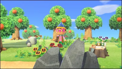 Quels fruits peut-on avoir ?