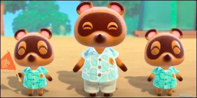 Comment s'appellent les neveux de Tom Nook ?