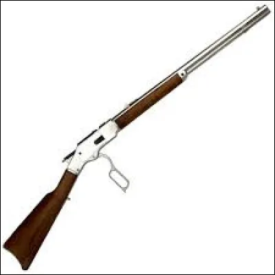 Dans quel pays se trouve la célèbre ville de Winchester, qui a donné son nom à une célèbre marque de fusils ?