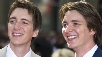 Quels membres de la famille Weasley James Phelps et Oliver Phelps interprètent-ils à l'écran ?