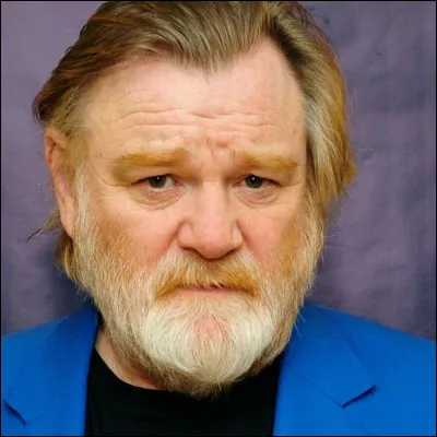 Quel rôle a joué Brendan Gleeson ?