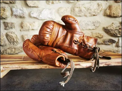Ils sont en cuir, ce sont des gants de...