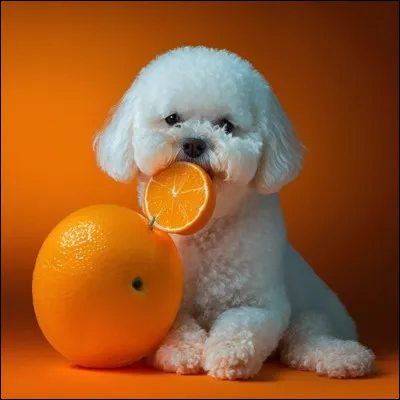 Mylène Farmer - Libertine (1986).

"Fendre la lune, baisers d'épine et de plume
Bercée par un petit vent, je déambule
La vie est triste comme ____"