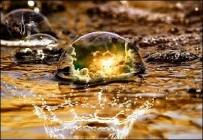 C'est le nom de l'odeur de la pluie !