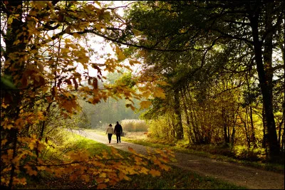 Ta promenade préférée, c'est...