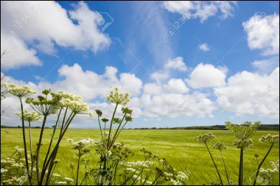 Il dit la vérité le jour !