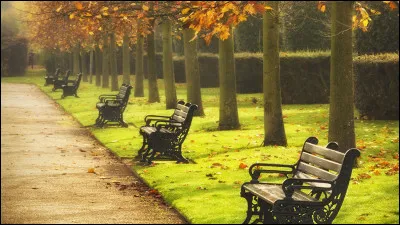 Il dit la v&eacute;rit&eacute; le jour !