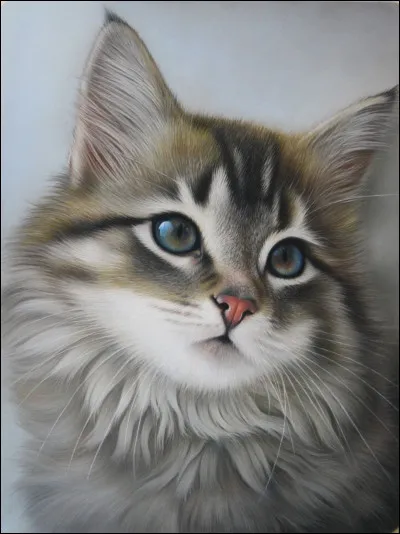 Comment sont tes yeux ?