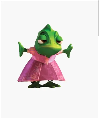 Pascal est l'animal de compagnie de