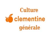 Quiz Clmentine