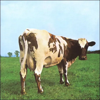 Quel groupe a utilisé l'image d'une vache sur la couverture de son album "Atom Heart Mother" ?