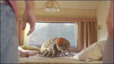 Quel est le nom de ce long-métrage avec Adèle Exarchopoulos et Roméo Elvis, dans lequel le personnage principal est une mouche ?