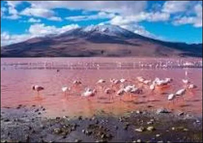 Quelle est la capitale de la Bolivie ?