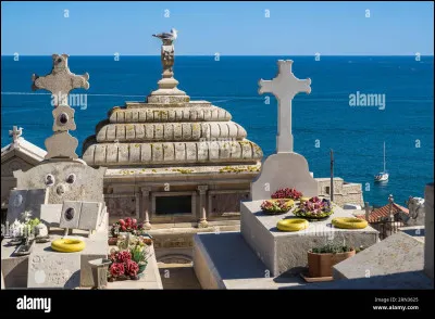 Combien y a-t-il de vertèbres dans le cou d'une girafe ?