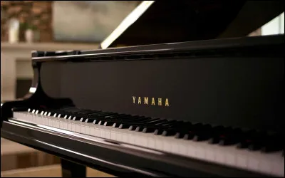 Quel est cet instrument de musique ?