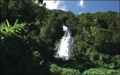 ''Le Voile de la Mariée'' est une chute d'eau de quelle île française ?