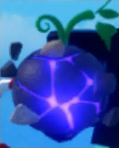 À qui appartient le Zushi Zushi no Mi ou Fruit de la Gravité ?