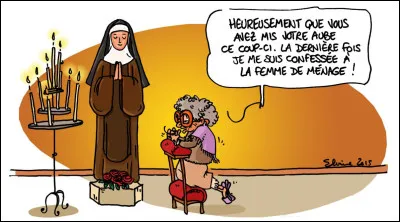 Politiquement correct ou hypocrisie !
"J'ai pêché, je le confesse", nous fait savoir un homme politique dès le début de son livre paru en avril 2023 !
Combien y a-t-il de fautes ?