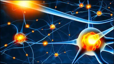 Sciences.
La sérotine est un neurotransmetteur.