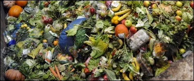 Quel pourcentage représente la nourriture produite dans le monde gaspillée chaque année ?