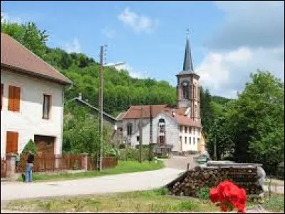 Petit village lorrain de 77 habitants, dans l'aire d'attraction D&eacute;odatienne, La Petite-Fosse se situe dans le d&eacute;partement ...