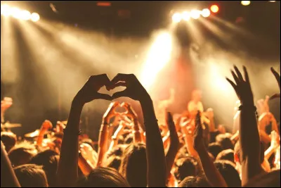 Une amie te propose de l'accompagner à un concert que tu n'aimes pas. Que fais-tu ?