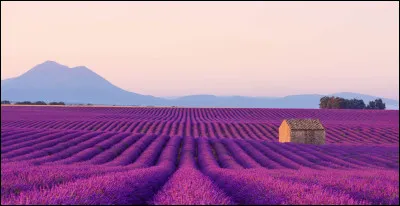 Lequel de ces défauts te correspond ?