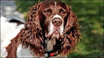 Et il mesure environ 60 cm :