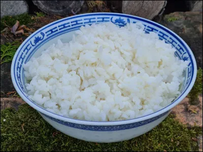 Est-ce que tu aimes le riz ?