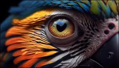 En quelle année Marie Myriam a-t-elle remporté l'Eurovision avec sa chanson "L'Oiseau et l'Enfant" ?